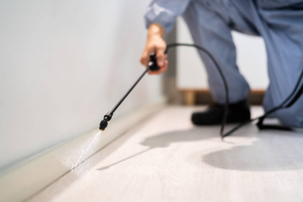 Licensed Pest Control service in Oostburg, WI - Show Me Pest Control