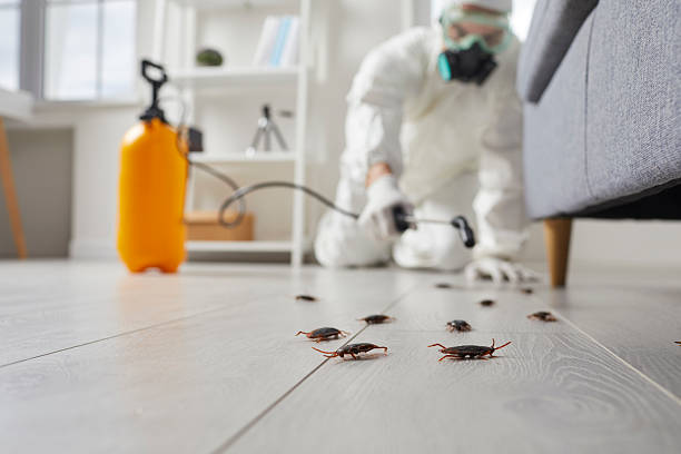 Commercial Kitchen Cockroach Control in Oostburg